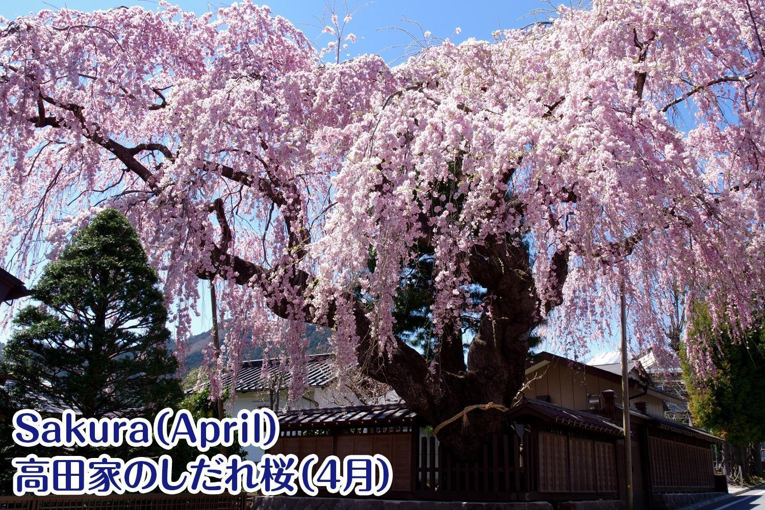 Nikko Stay House Arai - Vacation Stay 14988V ภายนอก รูปภาพ